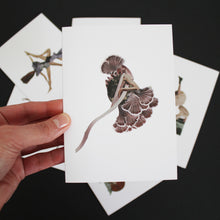 Load image into Gallery viewer, Mushroom Greeting Card 4 piece set
